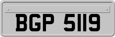 BGP5119