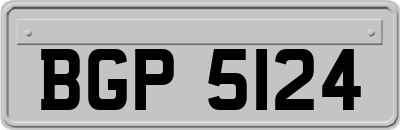 BGP5124