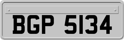 BGP5134