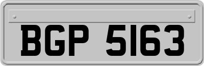 BGP5163