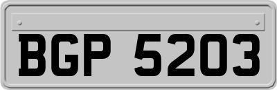 BGP5203
