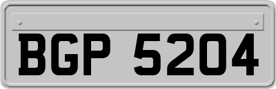 BGP5204