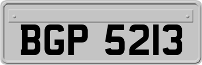 BGP5213