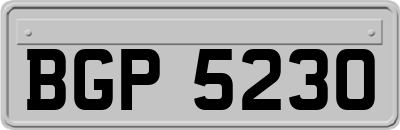 BGP5230