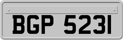 BGP5231
