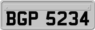 BGP5234
