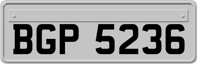 BGP5236