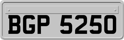 BGP5250