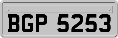 BGP5253