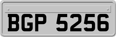BGP5256