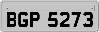 BGP5273