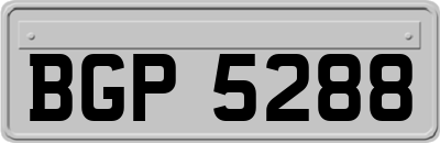 BGP5288