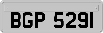 BGP5291