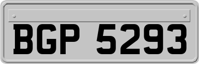 BGP5293