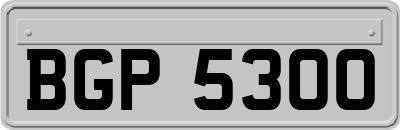 BGP5300