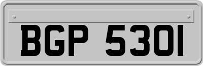 BGP5301