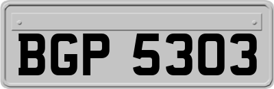 BGP5303