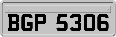 BGP5306