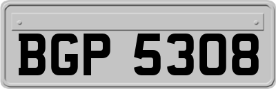BGP5308