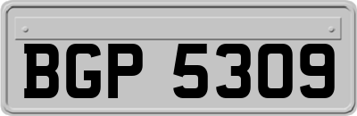 BGP5309