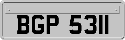 BGP5311