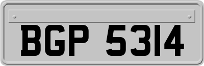 BGP5314
