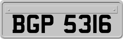 BGP5316