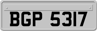 BGP5317