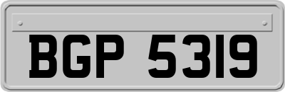 BGP5319