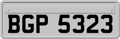 BGP5323