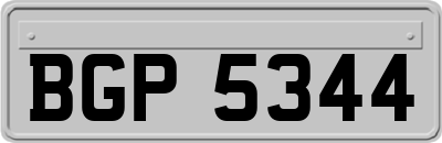 BGP5344