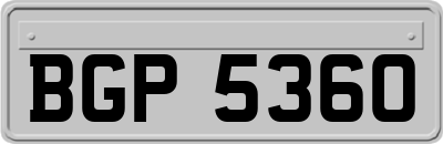 BGP5360