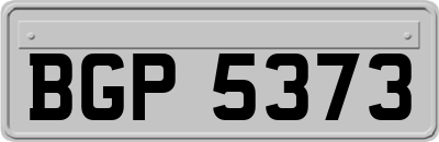 BGP5373