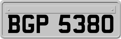BGP5380