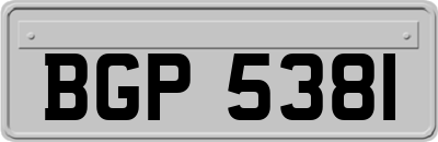 BGP5381