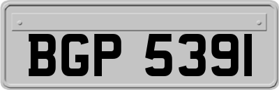 BGP5391