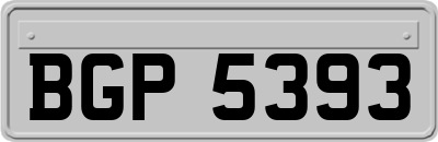 BGP5393