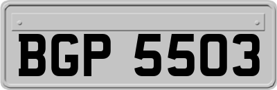 BGP5503