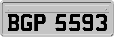 BGP5593