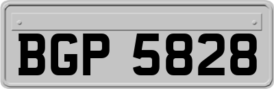 BGP5828