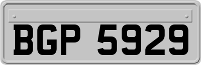 BGP5929