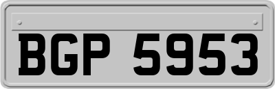 BGP5953