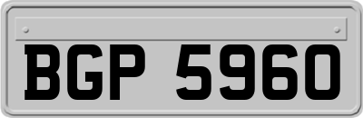BGP5960
