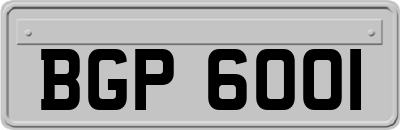 BGP6001