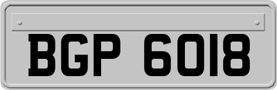 BGP6018