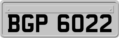 BGP6022