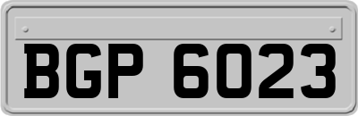 BGP6023