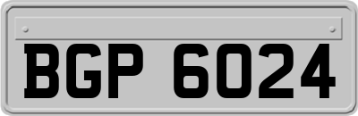 BGP6024