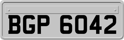 BGP6042