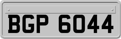 BGP6044